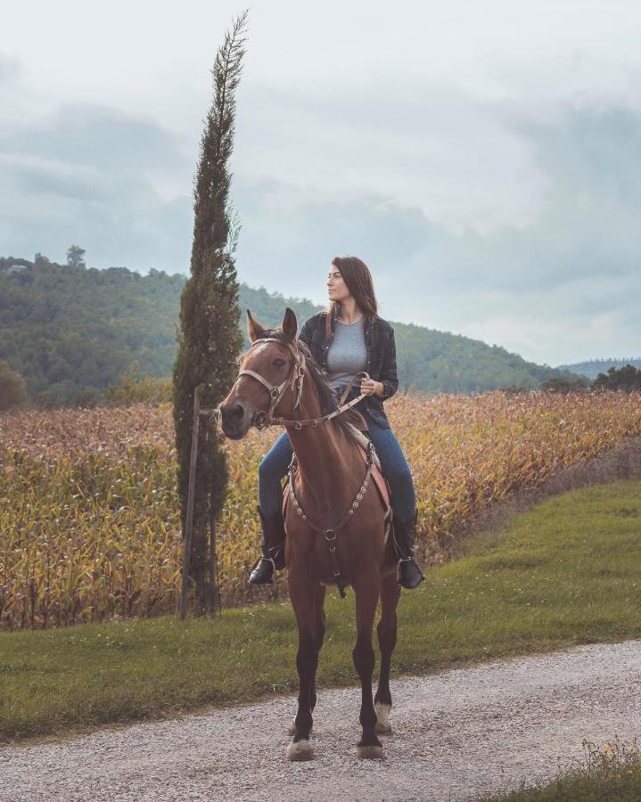 Agriturismo Querceto Mocaiana Экстерьер фото