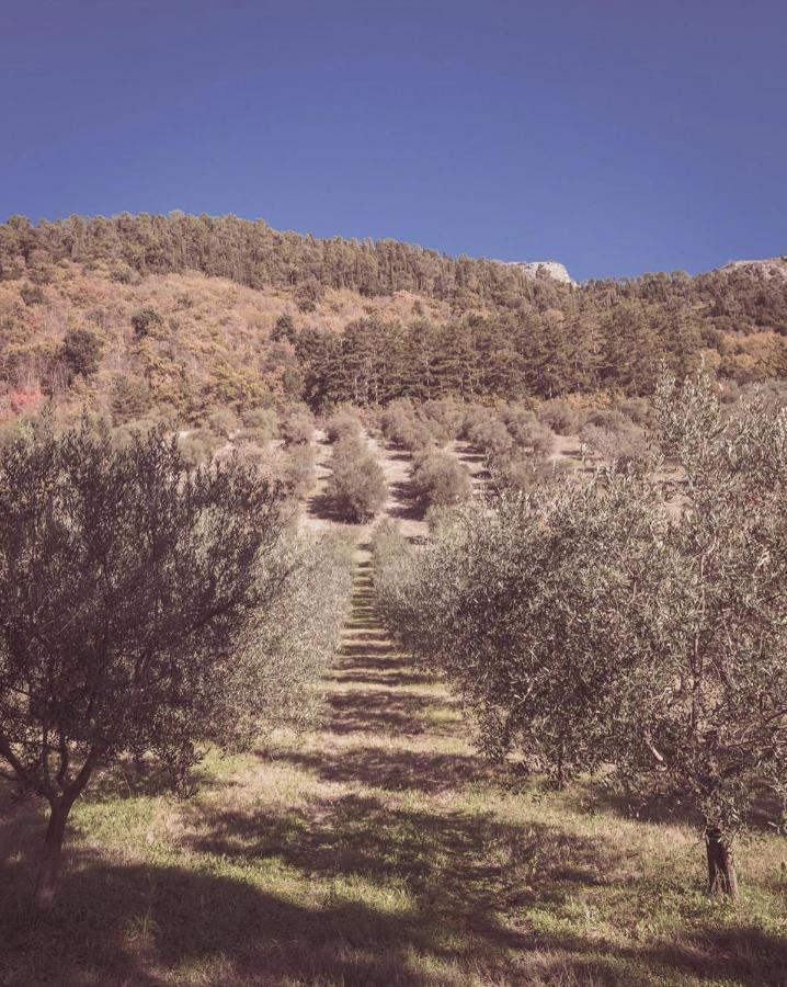 Agriturismo Querceto Mocaiana Экстерьер фото